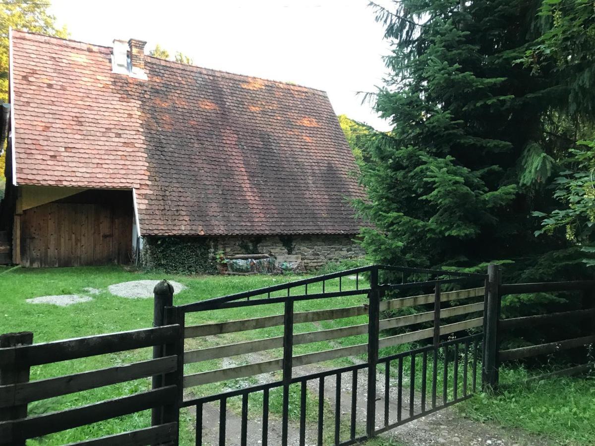 Pace In Kuvaszo-Casa La Cheie Βίλα Fule Εξωτερικό φωτογραφία